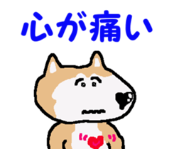Shiba inu MOMO chan the third as well! 4 sticker #7599794