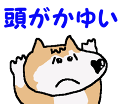 Shiba inu MOMO chan the third as well! 4 sticker #7599800