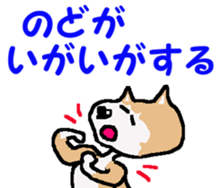 Shiba inu MOMO chan the third as well! 4 sticker #7599806