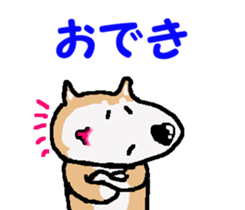 Shiba inu MOMO chan the third as well! 4 sticker #7599807