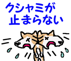 Shiba inu MOMO chan the third as well! 4 sticker #7599810