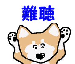 Shiba inu MOMO chan the third as well! 4 sticker #7599815