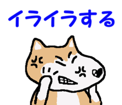 Shiba inu MOMO chan the third as well! 4 sticker #7599819