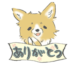 Almost Pomeranian Kotaro sticker #7602860