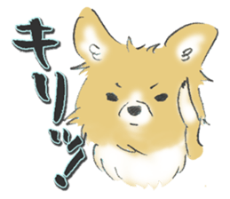 Almost Pomeranian Kotaro sticker #7602871