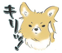 Almost Pomeranian Kotaro sticker #7602871