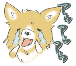 Almost Pomeranian Kotaro sticker #7602876