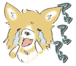 Almost Pomeranian Kotaro sticker #7602876