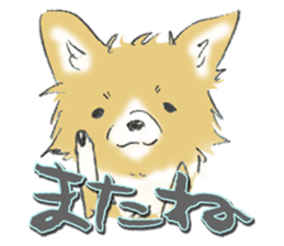 Almost Pomeranian Kotaro sticker #7602877