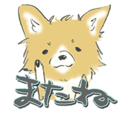 Almost Pomeranian Kotaro sticker #7602877