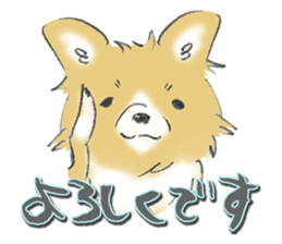 Almost Pomeranian Kotaro sticker #7602880