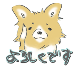 Almost Pomeranian Kotaro sticker #7602880