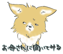 Almost Pomeranian Kotaro sticker #7602883