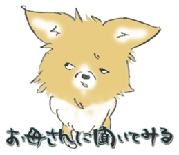 Almost Pomeranian Kotaro sticker #7602883