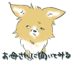 Almost Pomeranian Kotaro sticker #7602883