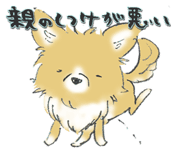 Almost Pomeranian Kotaro sticker #7602884