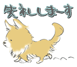 Almost Pomeranian Kotaro sticker #7602887