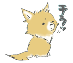 Almost Pomeranian Kotaro sticker #7602892
