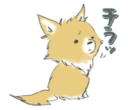Almost Pomeranian Kotaro sticker #7602892