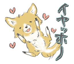 Almost Pomeranian Kotaro sticker #7602896