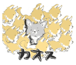Almost Pomeranian Kotaro sticker #7602899