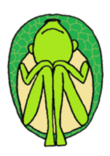 Kamekamekameo2 sticker #7603107