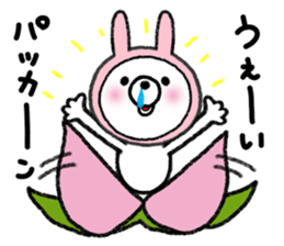 USAKOGUMA! sticker #7604143