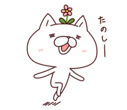 A Flower Cat 3 (Positive Words). sticker #7608421