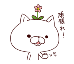 A Flower Cat 3 (Positive Words). sticker #7608432