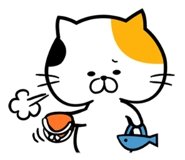 Every day Nyanko sticker #7609271