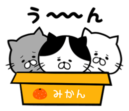 Every day Nyanko sticker #7609298