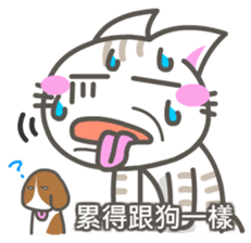 GauGuai Cat sticker #7613569