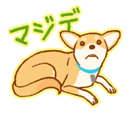Timid Dog TETO [Japanese] sticker #7614586
