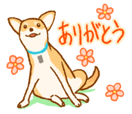 Timid Dog TETO [Japanese] sticker #7614589