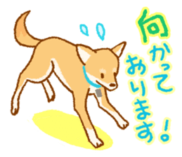 Timid Dog TETO [Japanese] sticker #7614597