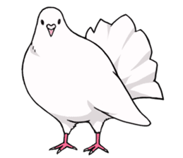 Cute Pigeon2 sticker #7616020