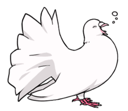 Cute Pigeon2 sticker #7616021