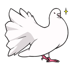 Cute Pigeon2 sticker #7616022