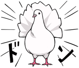 Cute Pigeon2 sticker #7616027