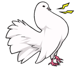 Cute Pigeon2 sticker #7616029