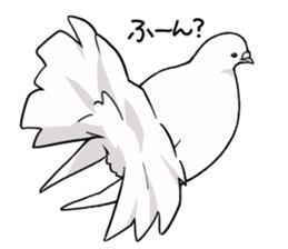 Cute Pigeon2 sticker #7616030