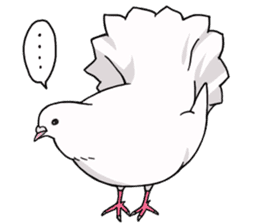 Cute Pigeon2 sticker #7616032