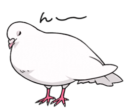 Cute Pigeon2 sticker #7616033