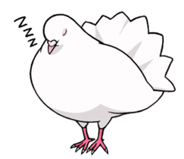 Cute Pigeon2 sticker #7616034