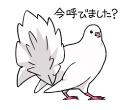 Cute Pigeon2 sticker #7616035