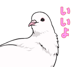 Cute Pigeon2 sticker #7616036