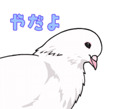 Cute Pigeon2 sticker #7616037