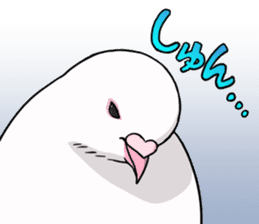 Cute Pigeon2 sticker #7616039