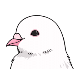 Cute Pigeon2 sticker #7616040