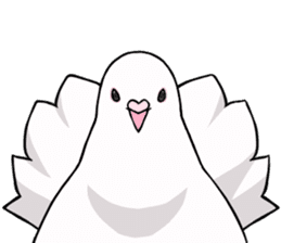 Cute Pigeon2 sticker #7616042